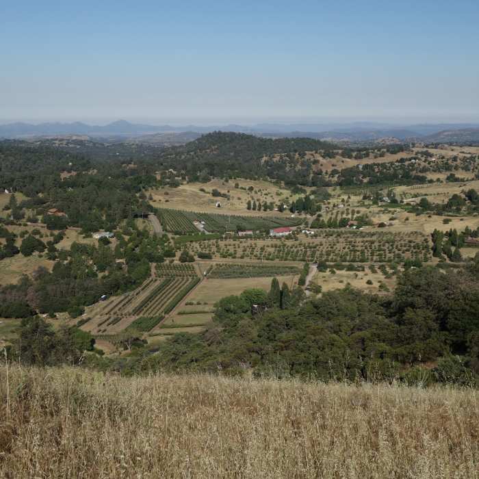 Volcan Valley Apple Farm and the Menghini Winery can be seen from the Five Oaks Trail. Near Five Oaks Trail