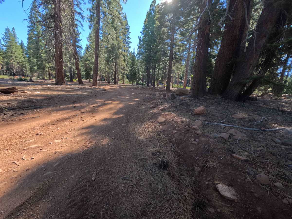 Sagehen Creek - FS 0011 photo 2