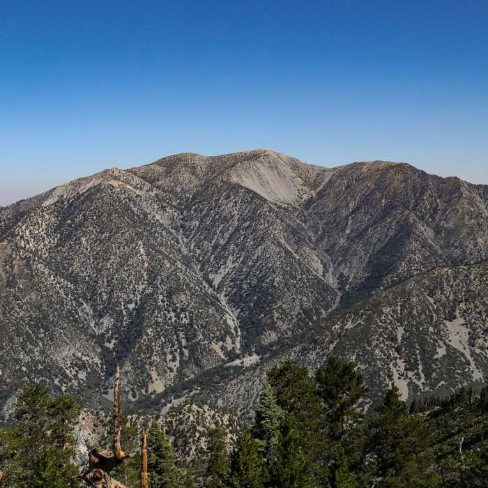 Near Mount Baldy Summit via Devils Backbone Trail