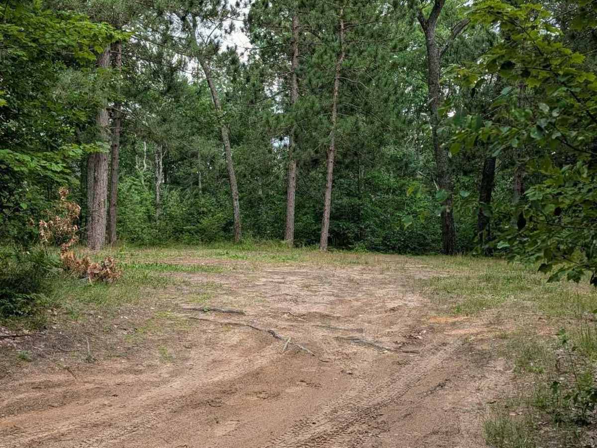 FS 4503 photo 2