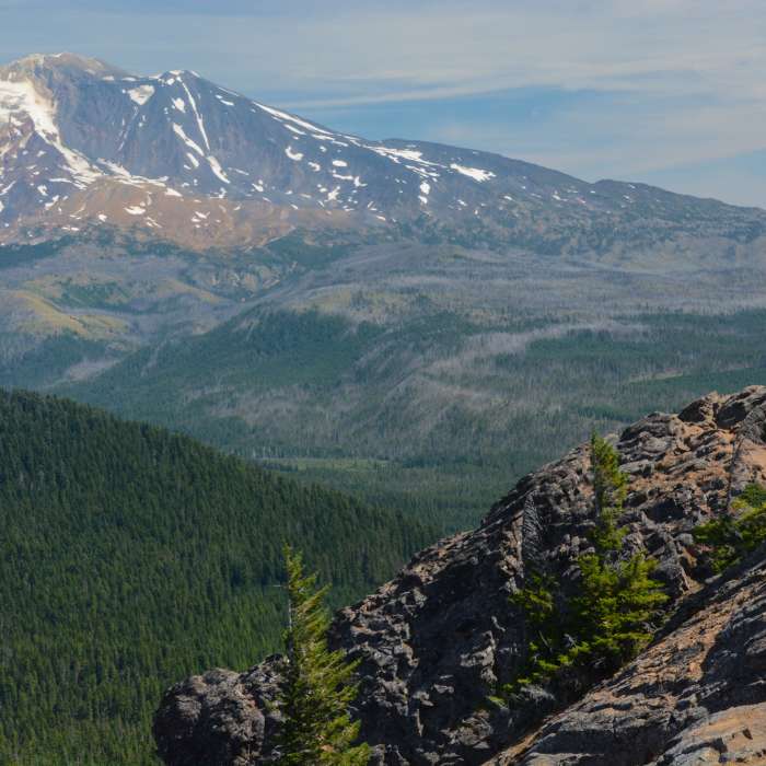 Near Sleeping Beauty