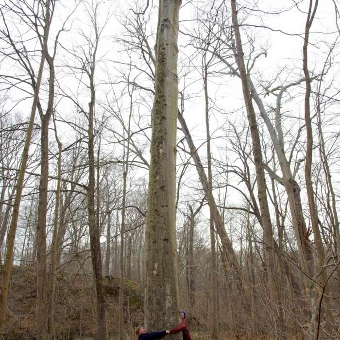 Near Warren Woods River Loop