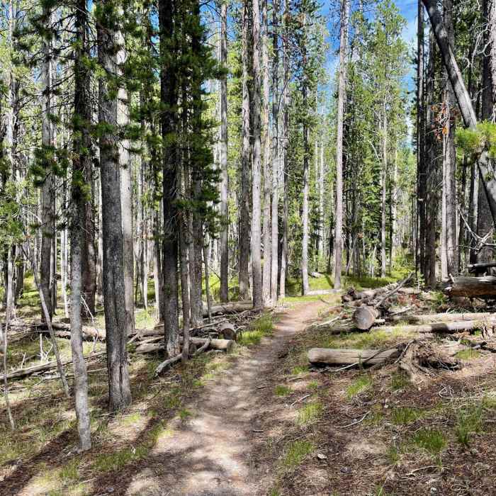 Near Continental Divide Trail: Wyoming Section 21 Near Continental Divide Trail: Wyoming Section 21