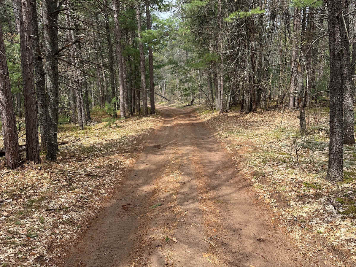 Manistee River Loop photo 6