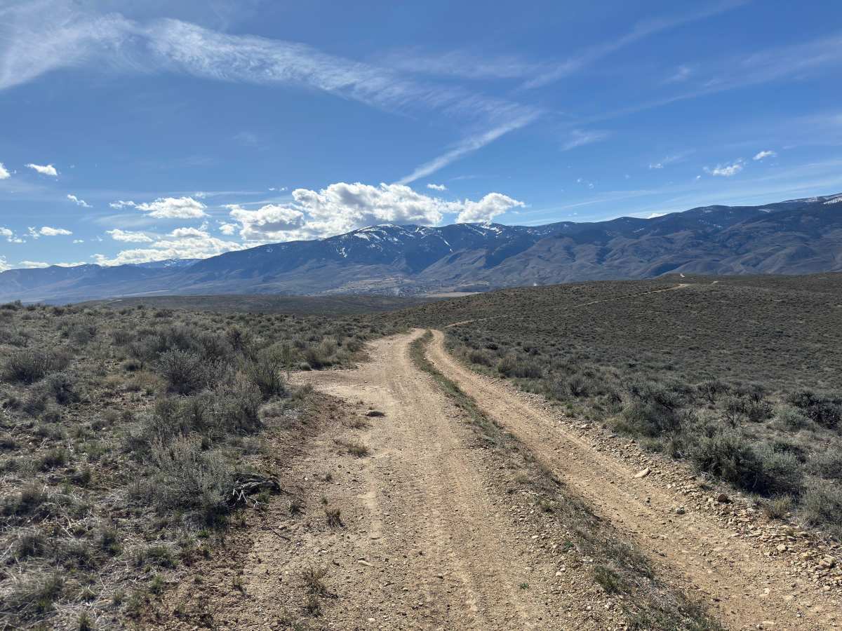 BLM 128 photo 5