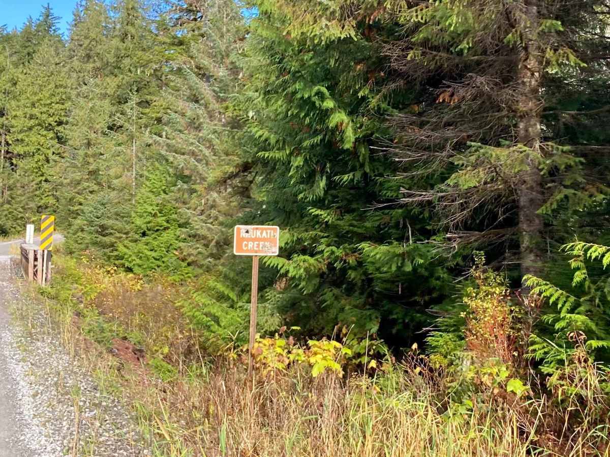 Gutchi Creek Road - FS 2058000 photo 3