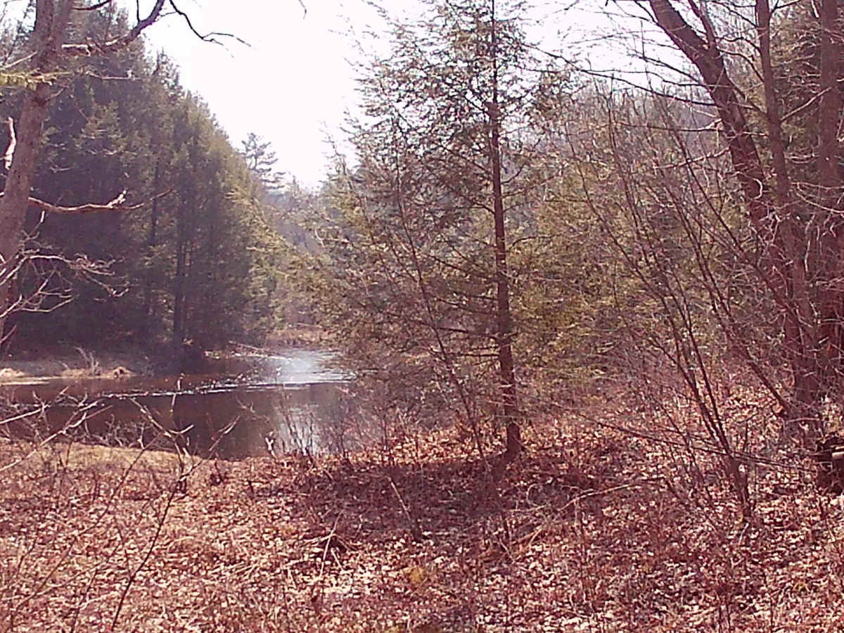 Huckleberry Road photo 6
