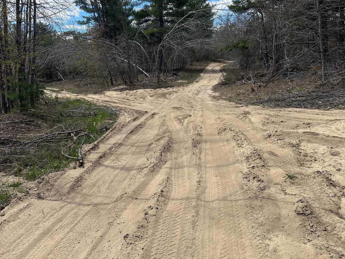 Gump Lake Trail photo 4