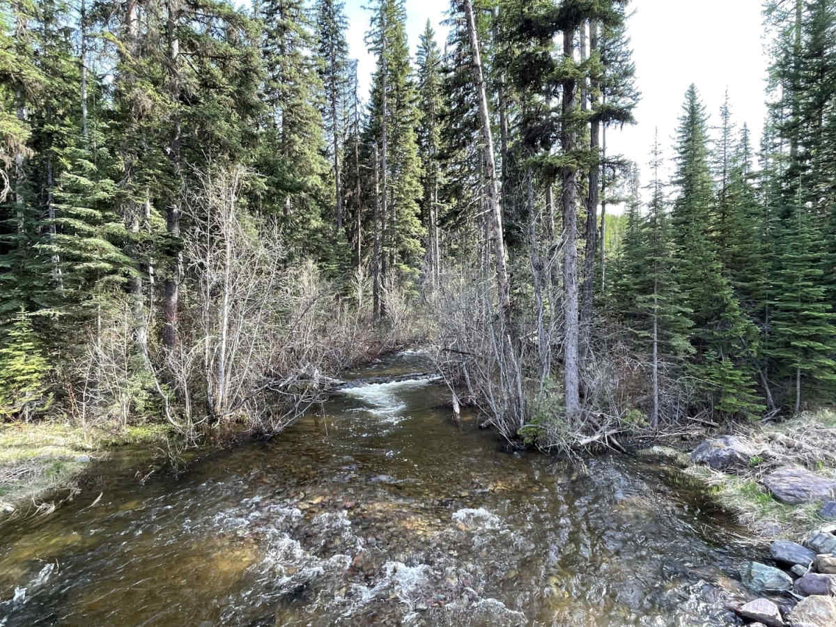 Beaver Creek Trailhead photo 4