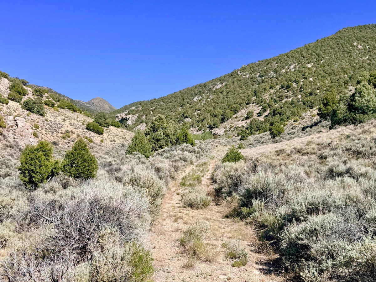Water Canyon photo 3