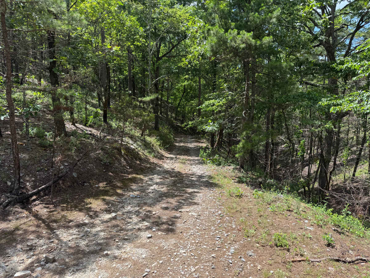 Shirley Creek trail photo
