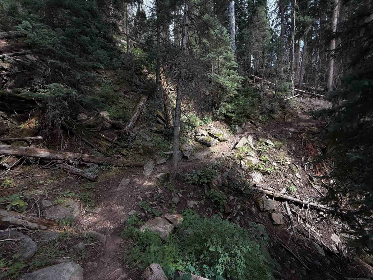 Johnny Bull - Trail 639  photo 5
