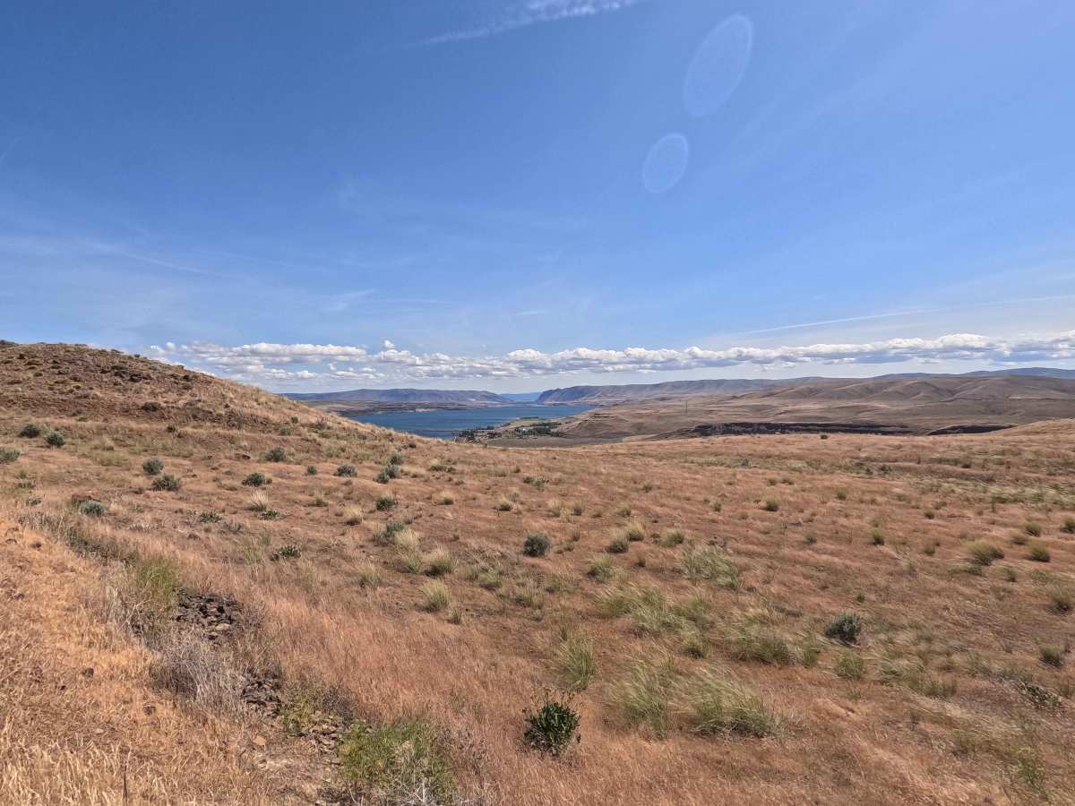 Jacknife Ridge Road photo 3