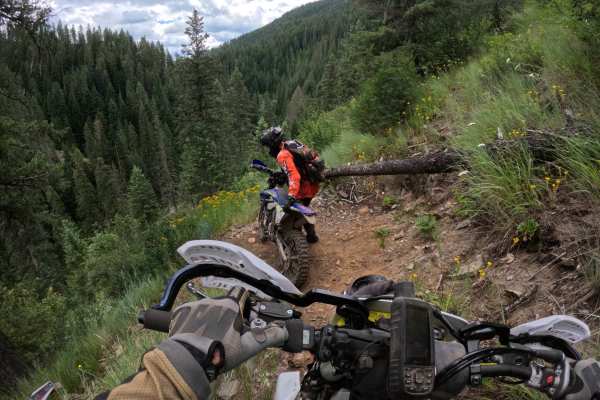 Bronson Meadows Loop