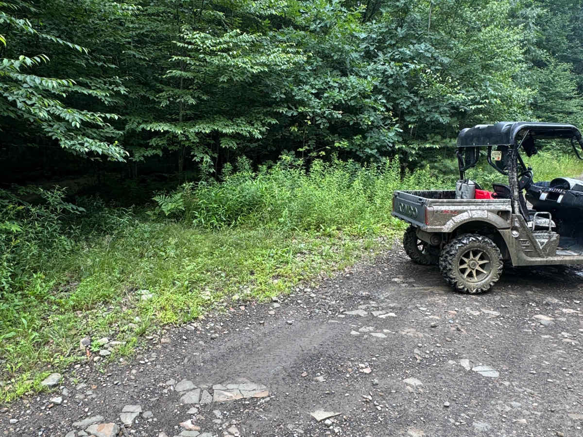 Trail 62 photo 6