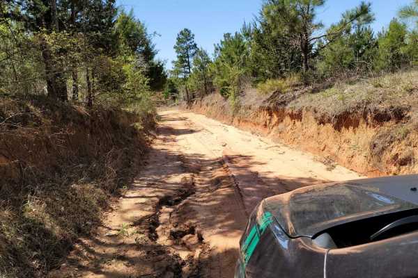 The Arkansas Overland Route - Section 4 - Poison Springs WMA and Purifoy Cemetery