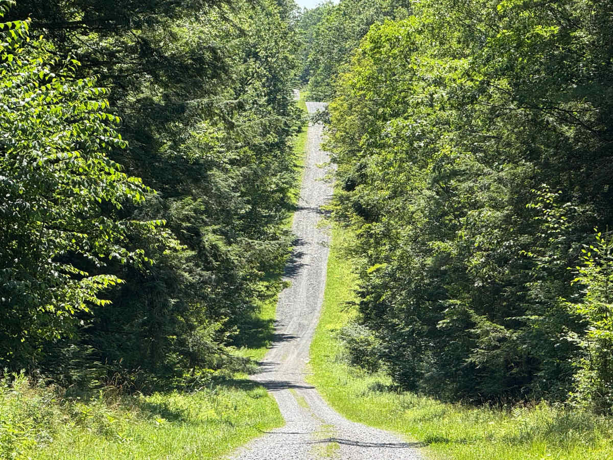 Morey Road trail photo