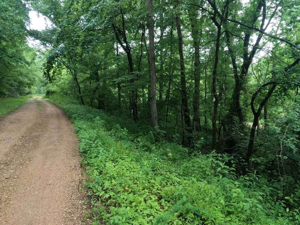 Tharpe Hollow - FS 384 photo 2