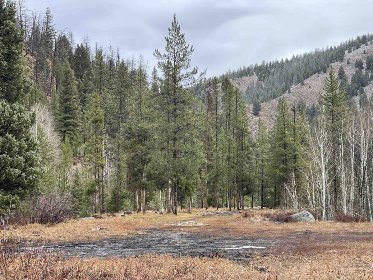 Rough Creek photo 4