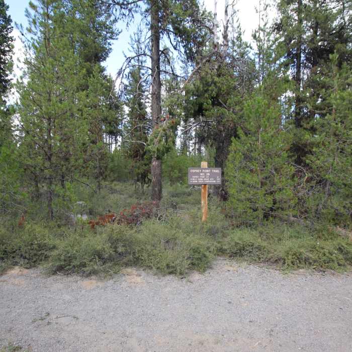 Near Osprey Point Interpretive Trail