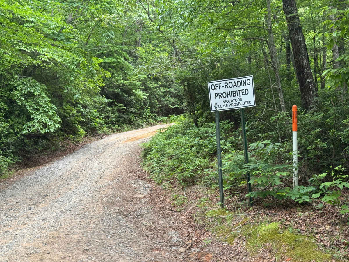 Charlies Creek Road trail photo