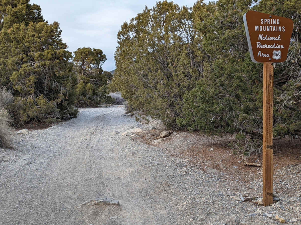 Johnswort Road photo 6