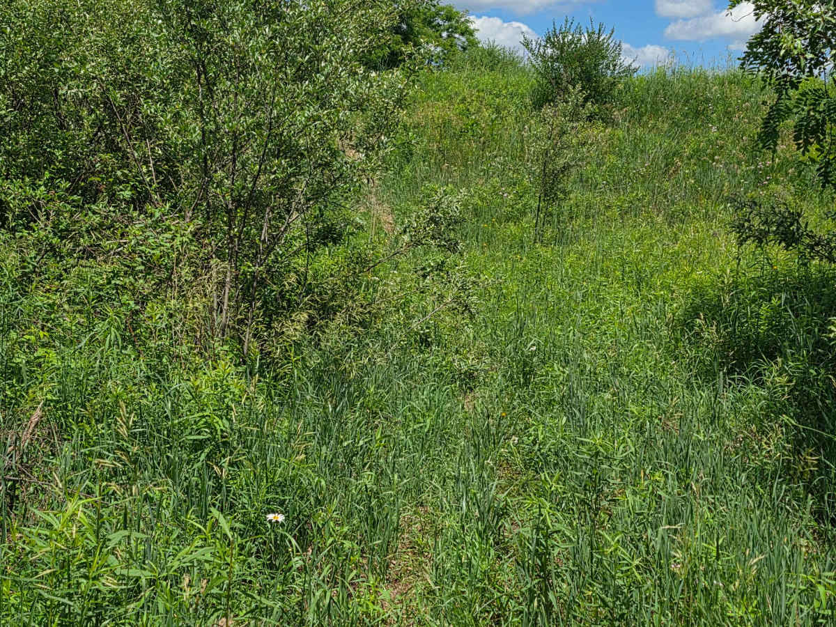 Single Track NB photo 4