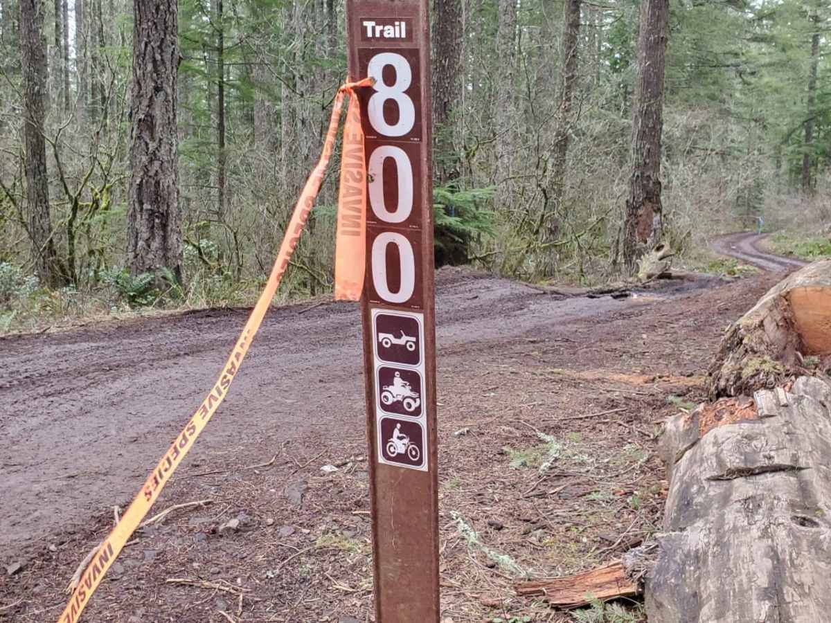 Trail 800 trail photo