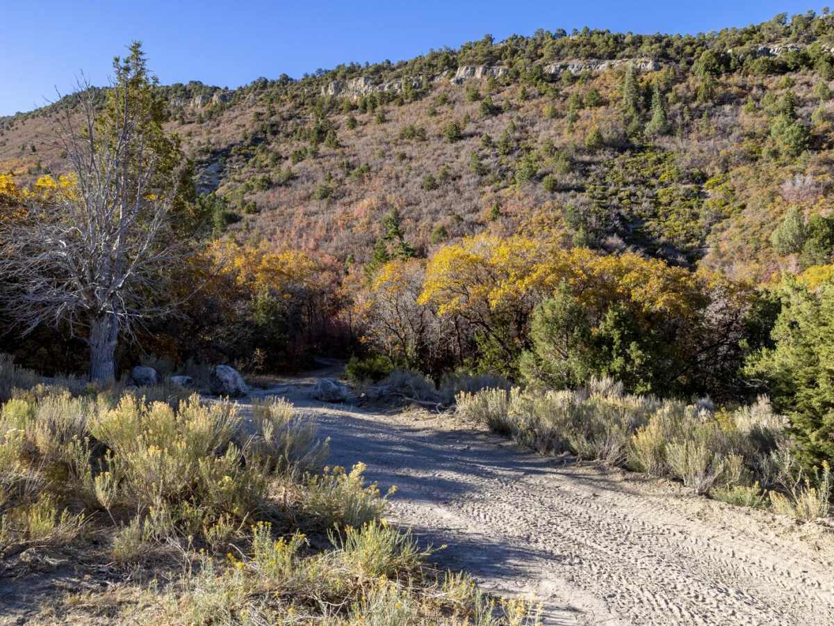 Olsen Canyon photo 2