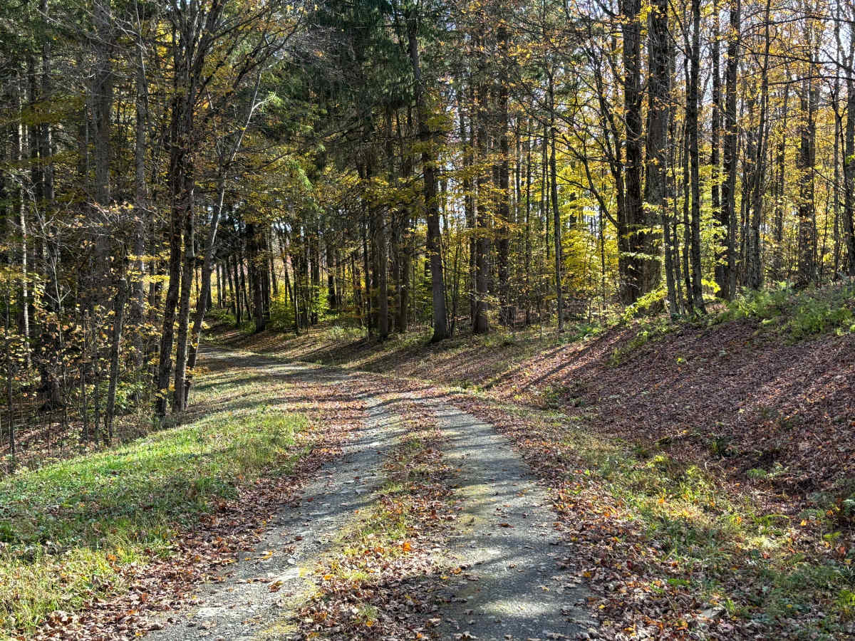 Maxon Creek State Forest photo 5