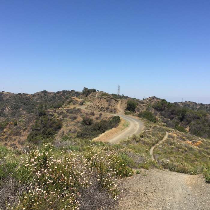 Near Sullivan Canyon Trail