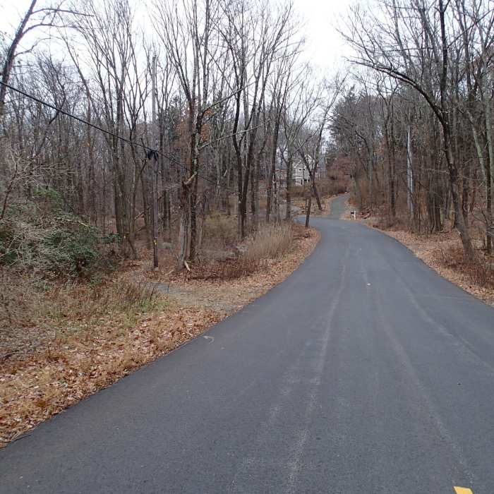 Near Oreland Trail