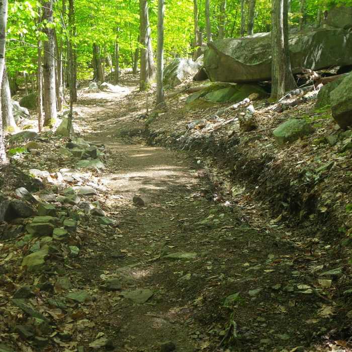 Near Kebo Brook Trail