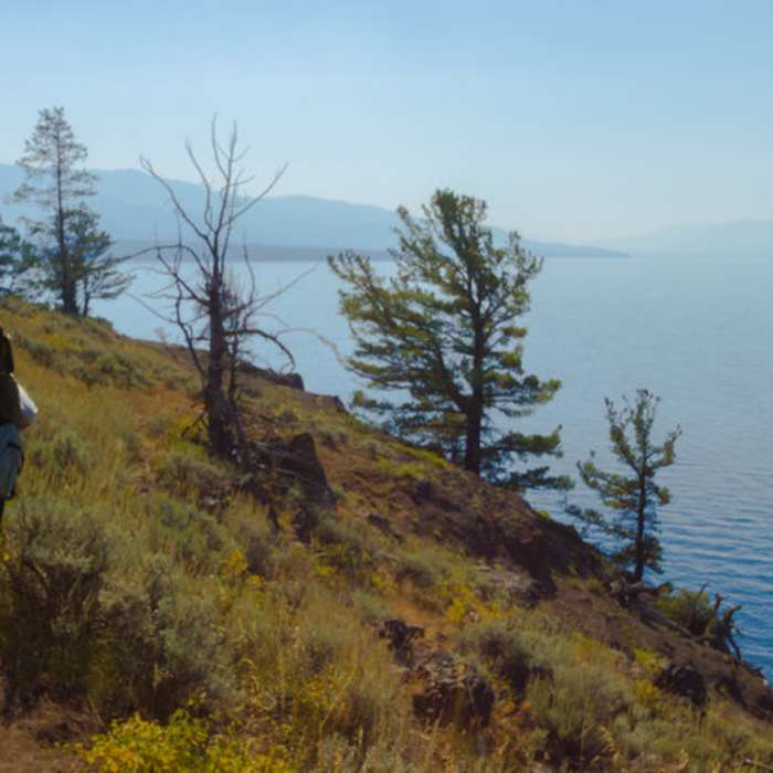 Near Thorofare Trail