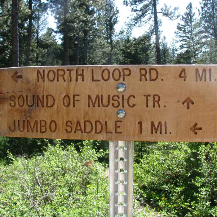 Near Sound of Music Trail to Woods Gulch Overlook