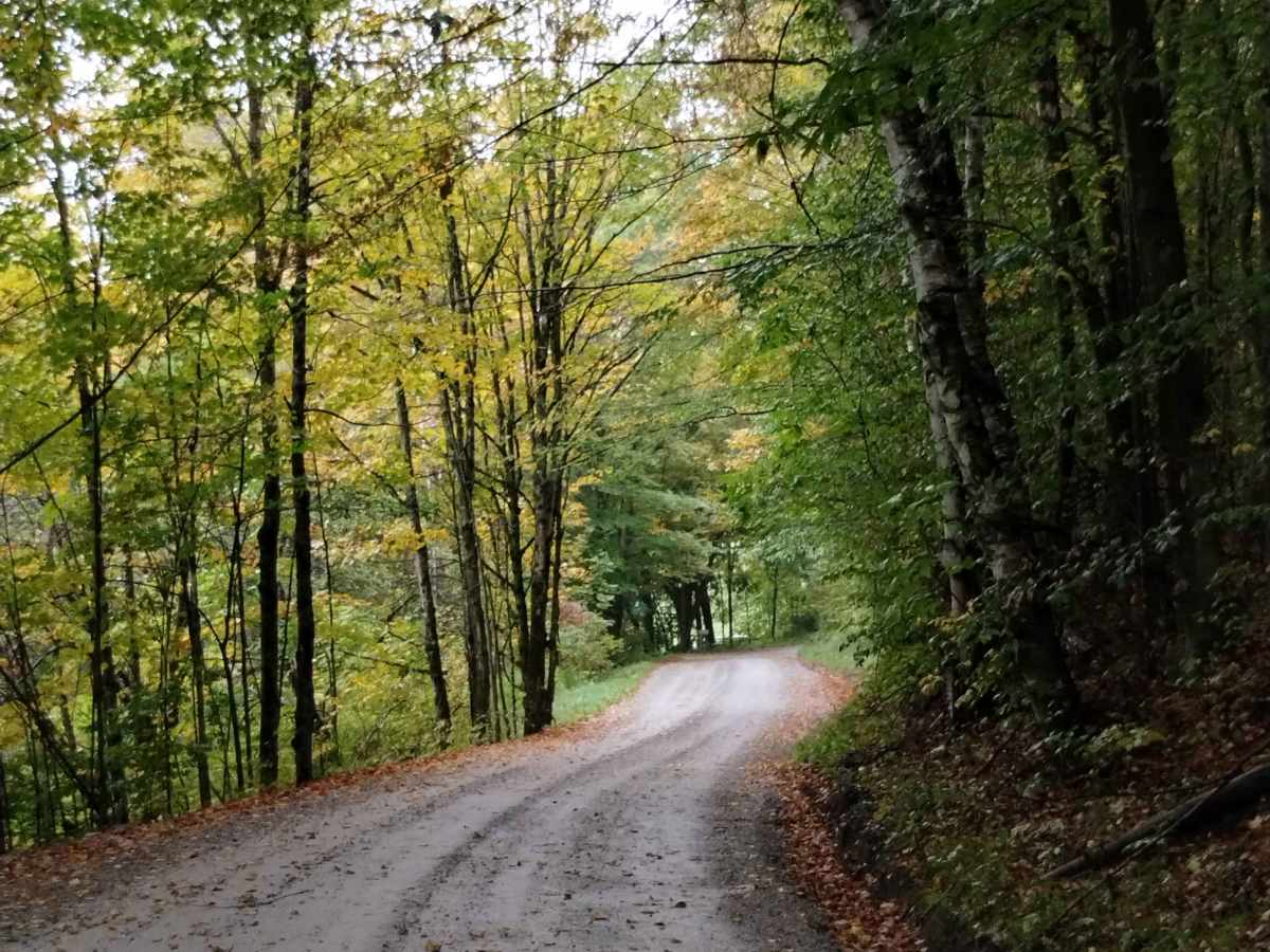 Ward Hill Track photo 4