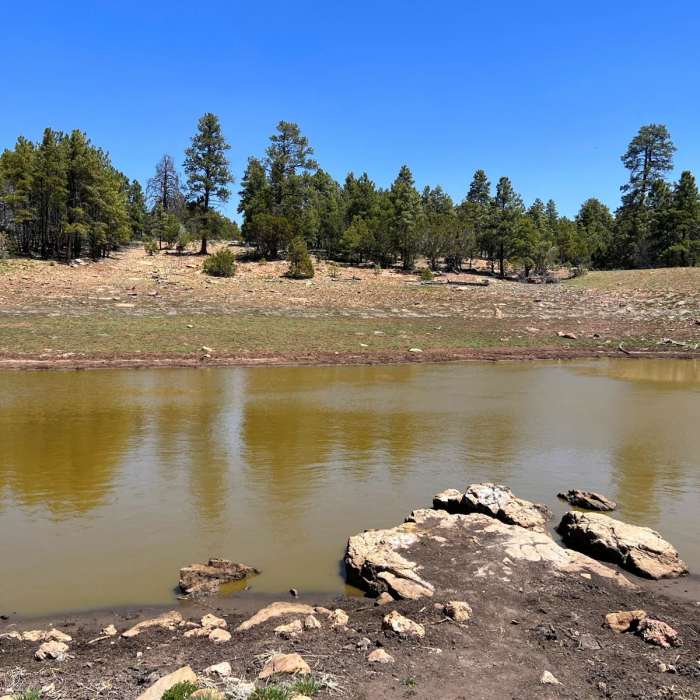 Near Arizona Trail Passage 36: Coconino Rim
