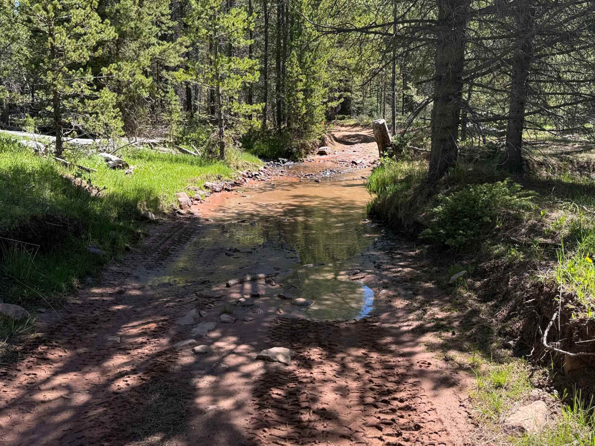 Anderson Creek photo 6
