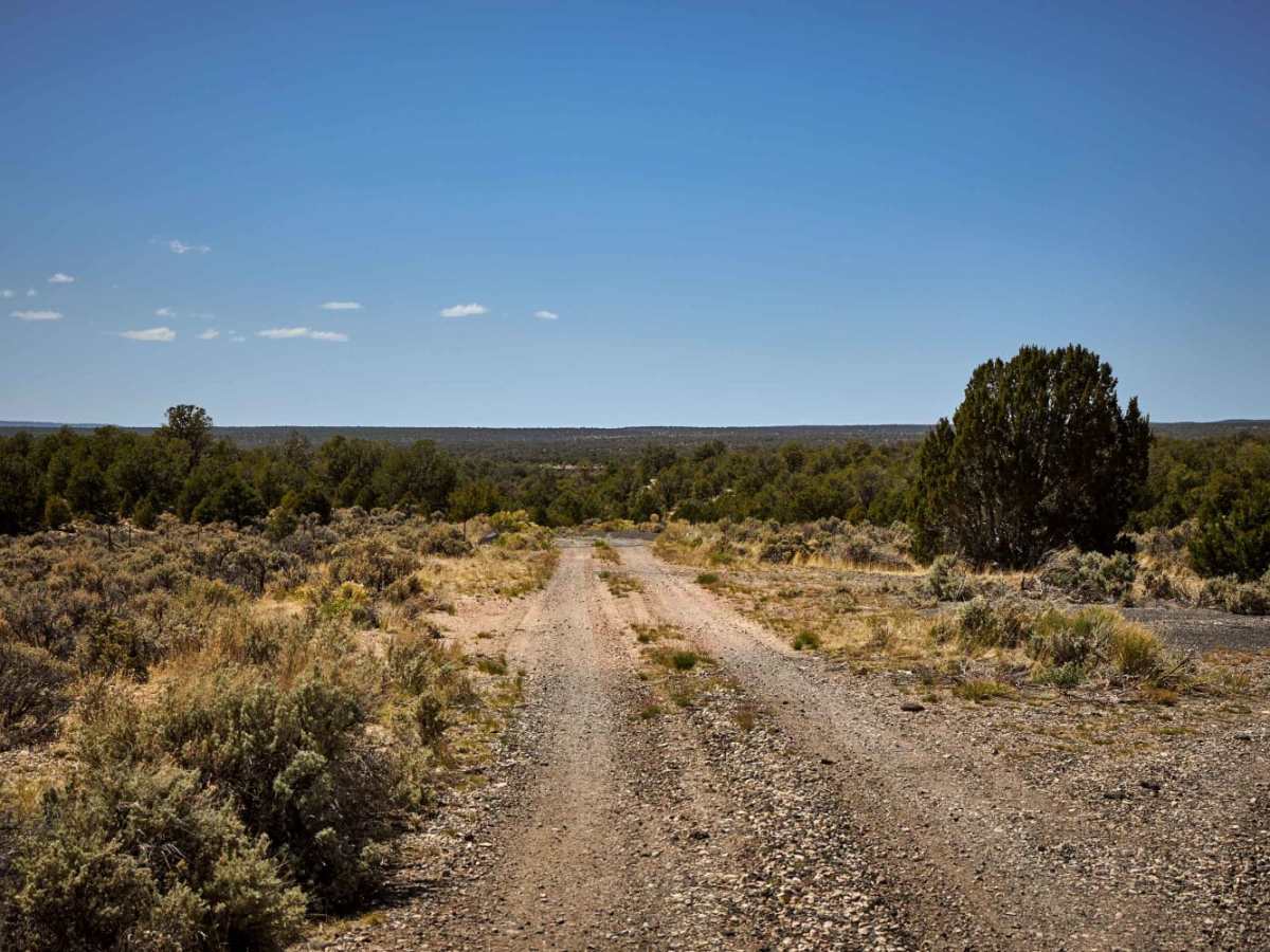Old 64 / Tusayan Road photo 3