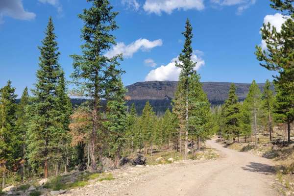 Washington Lake Trail