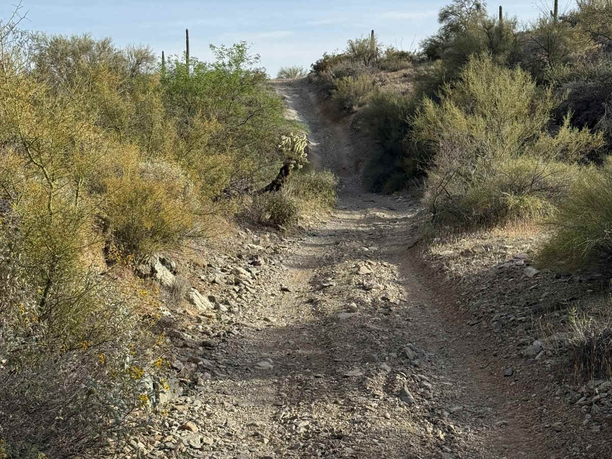 Trail 32022 photo 4