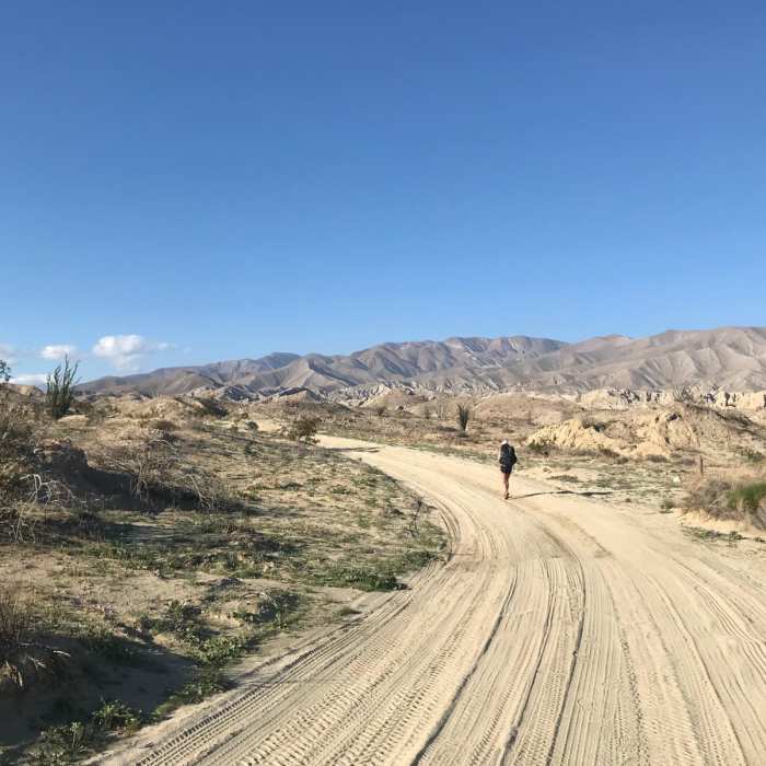 Near Arroyo Salado Loop