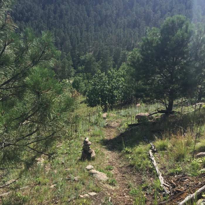 Near Cairn Trail