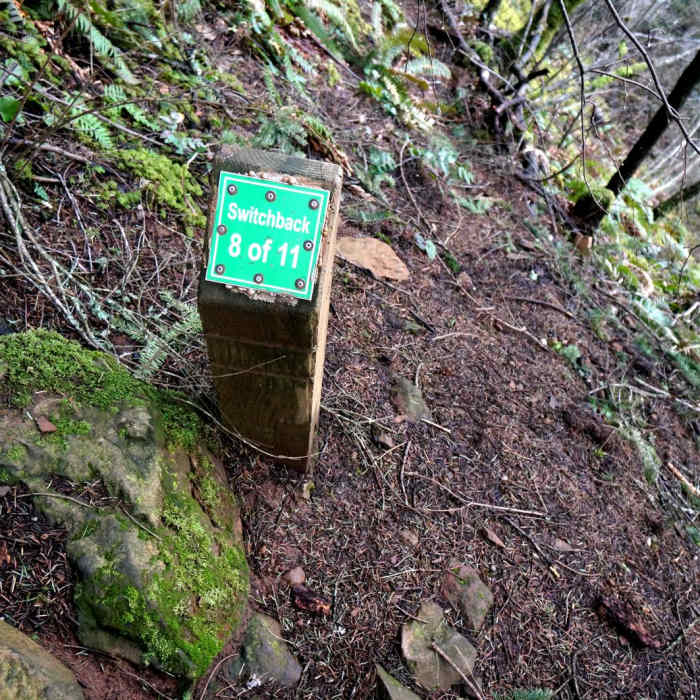 Near Franklin Ridge Loop Hike