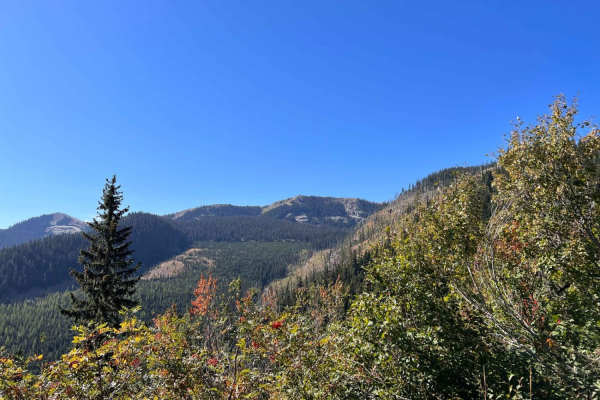 North Branch of Martin Creek