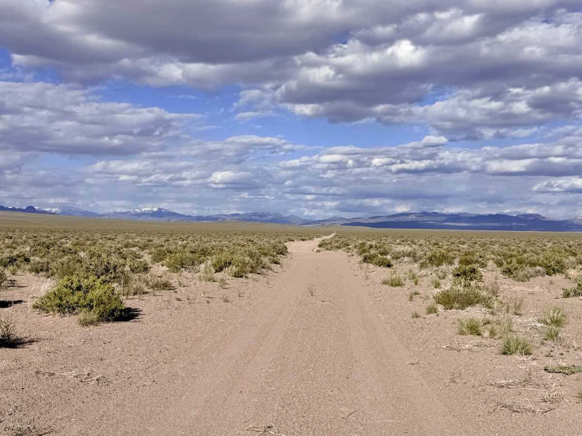 Dicks Road photo 5