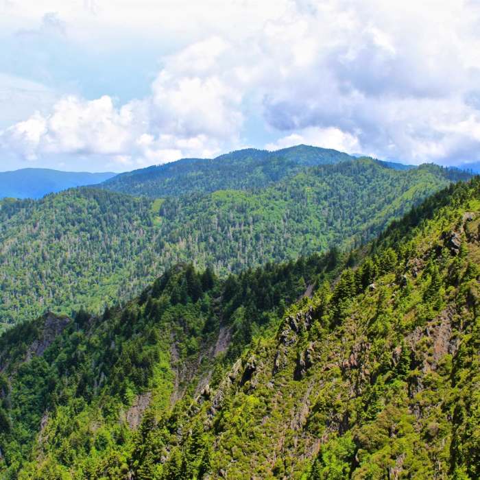 Near Charlie's Bunion Near Charlie's Bunion