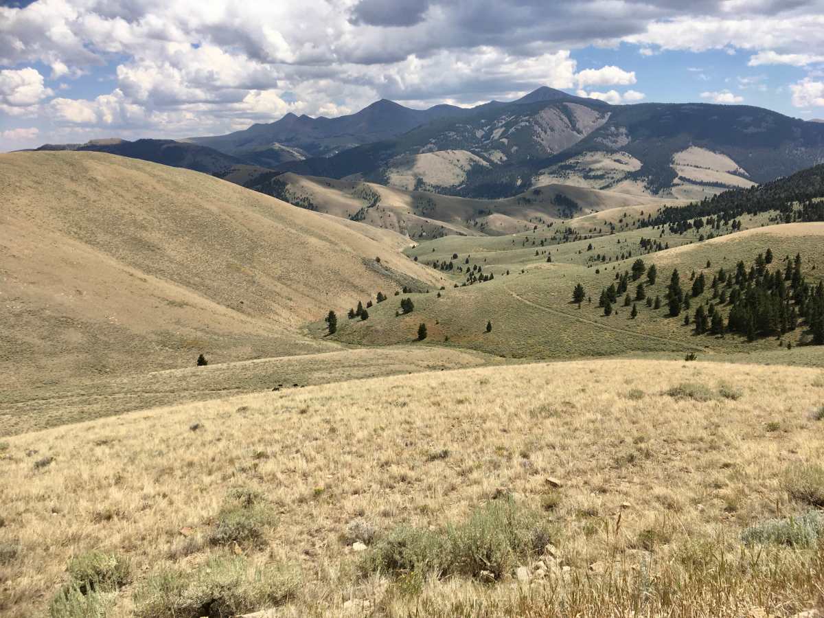 White Pine Ridge Route photo 6