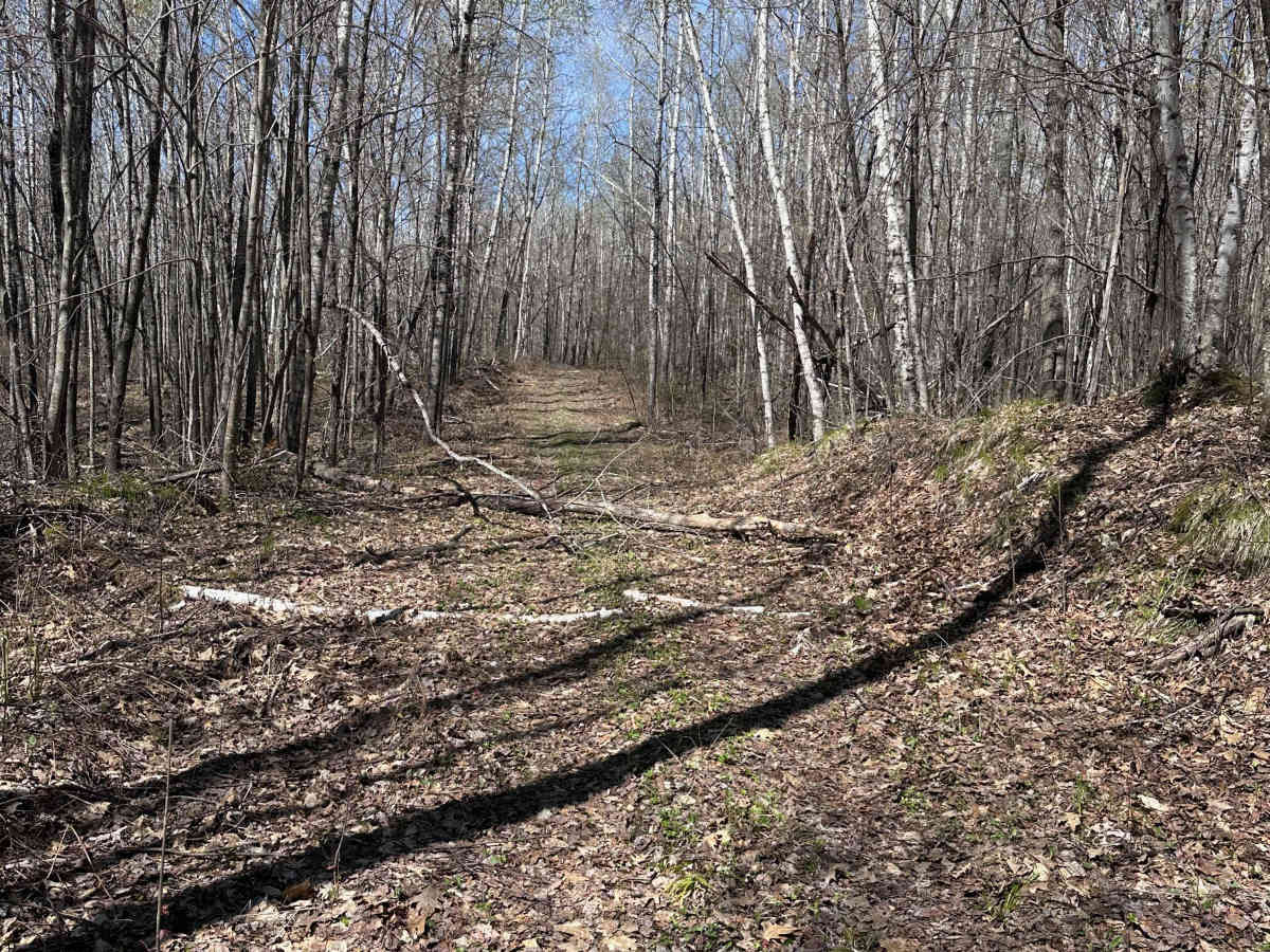 Hunter's Spur photo 6