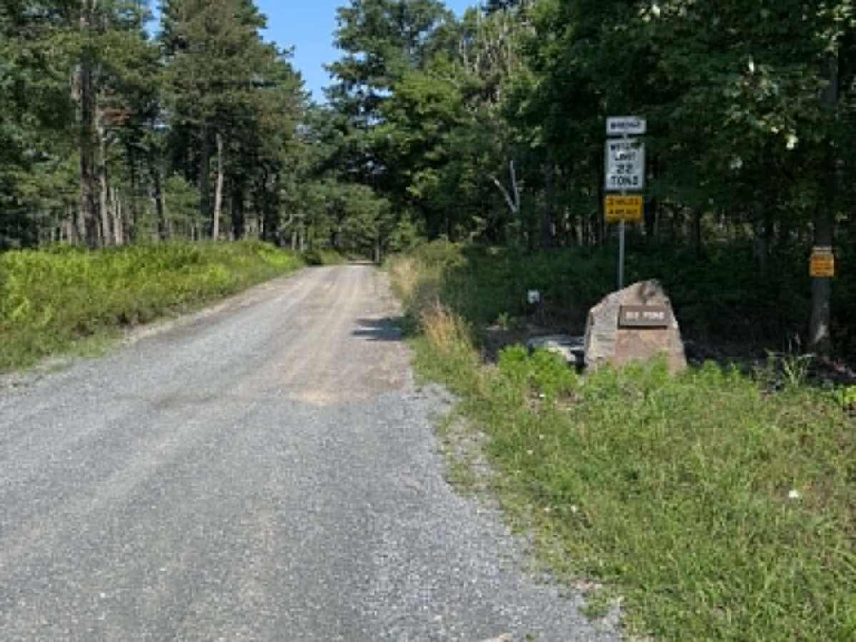 Big Pond Hollow photo 6